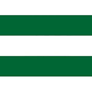 bandera andalucia sin escudo