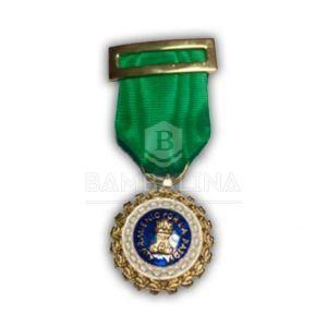 Medalla Sufrimiento por la patria Verde