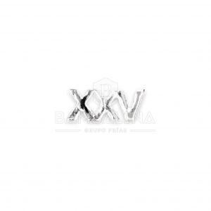 Miniatura numeral XXV años