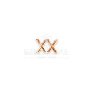 Miniatura numeral XX años