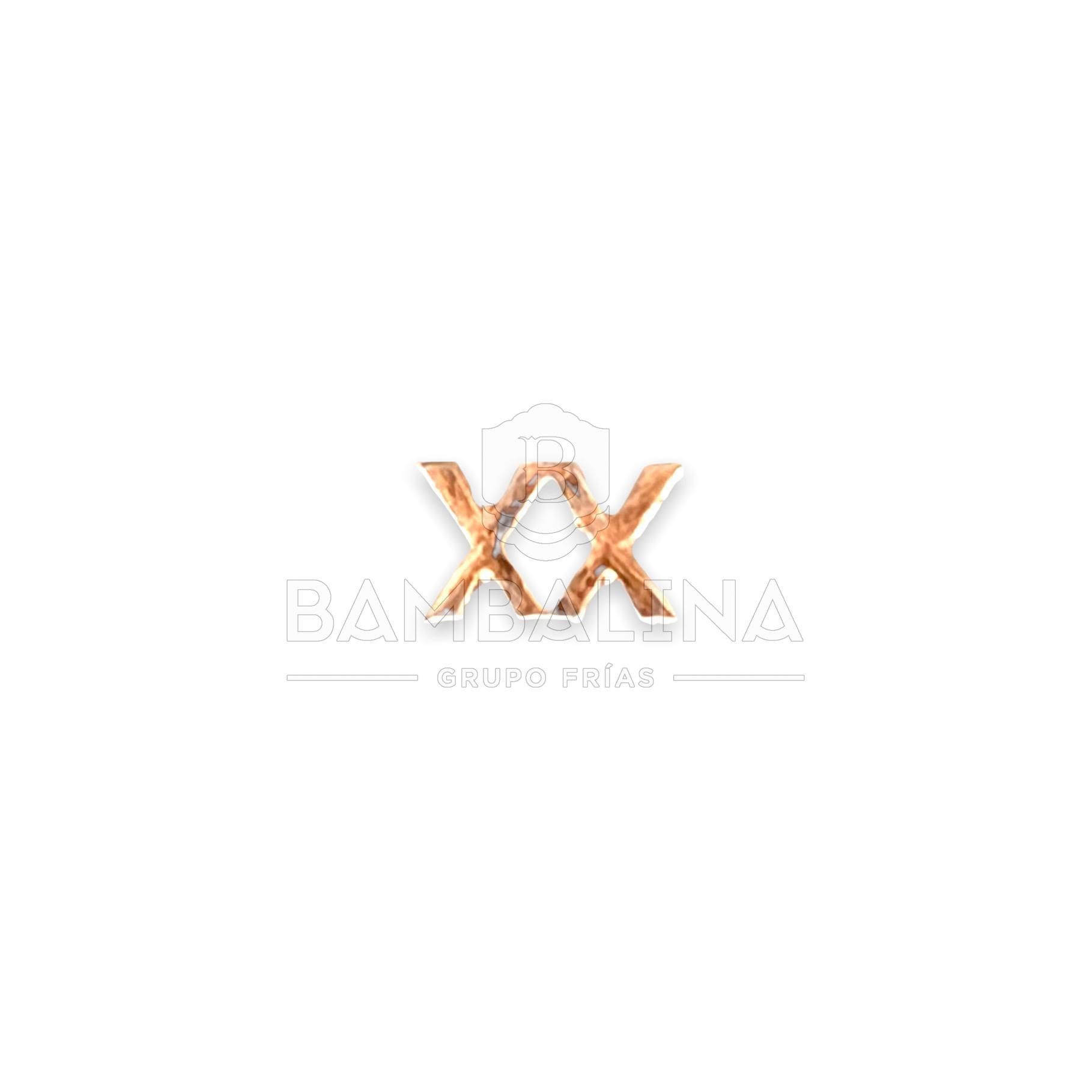 Miniatura numeral XX años