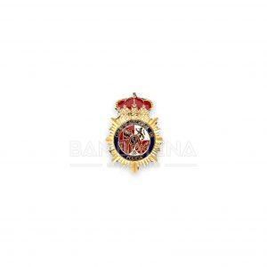 Pin CNP