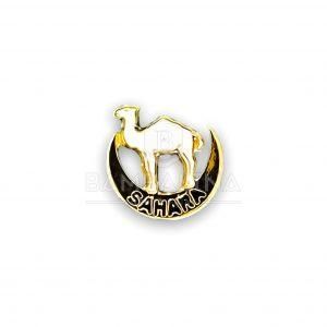 Pin Sáhara