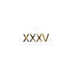 Miniatura numeral XXXV años