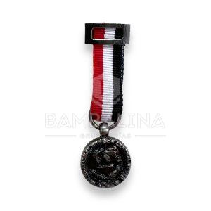 Miniatura Misión Irak