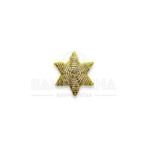 Estrella bordada 6 puntas